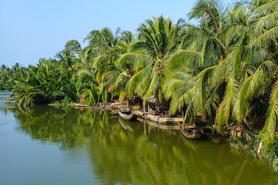 1 DAY CAN THO - BEN TRE - THE CAPITAL OF COCONUT TREE ADVENTURE– HIB1DCBT7