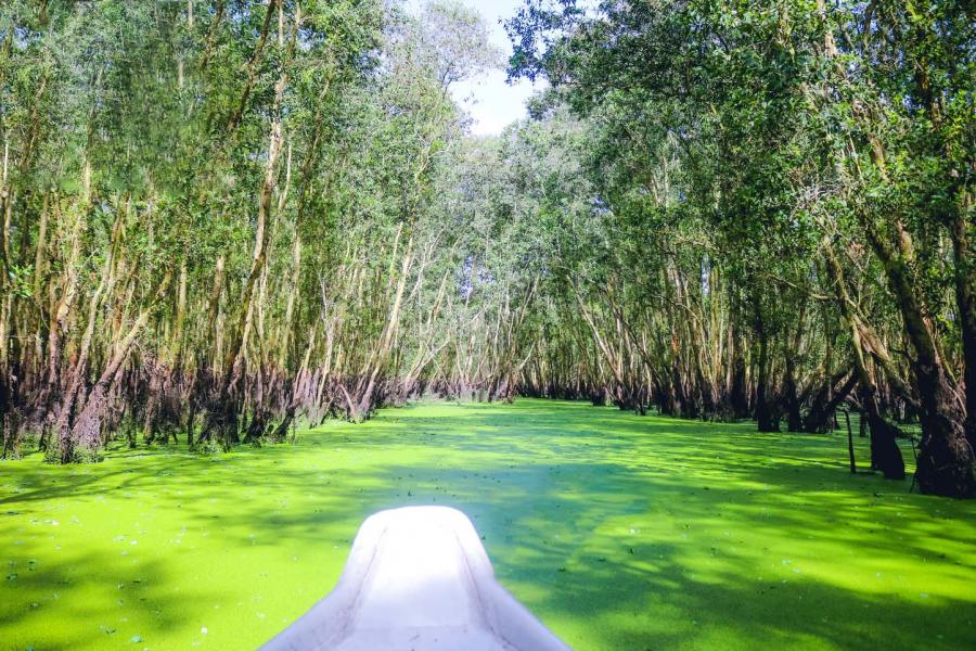 1 DAY CAN THO - CHAU DOC MARKET-TRA SU FOREST .HIB1DTS3