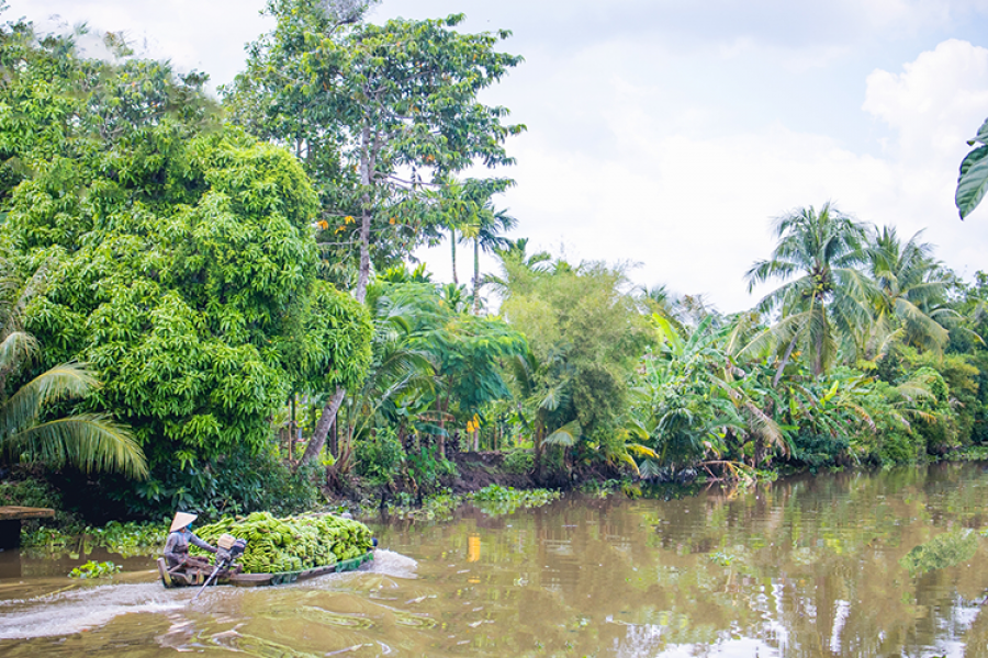 1 DAY CAN THO - MEKONG DELTA ADVENTURE – FLOATING MARKET TO THE COUNTRYSIDE ROAD – HIB1DFMMS1