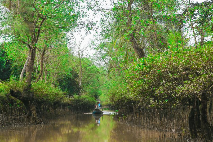 1 DAY CAN THO - AN BINH ISLAND - SA DEC. HIB1DSAB2