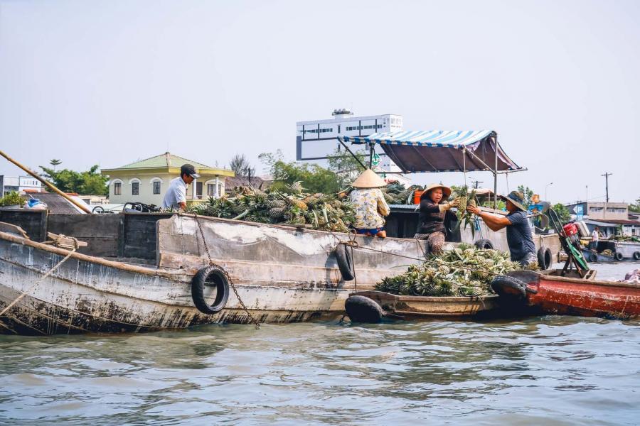 1 DAY SAIGON MEKONG DELTA CRUISING MOTORCYCLING.HIB1DSCM1