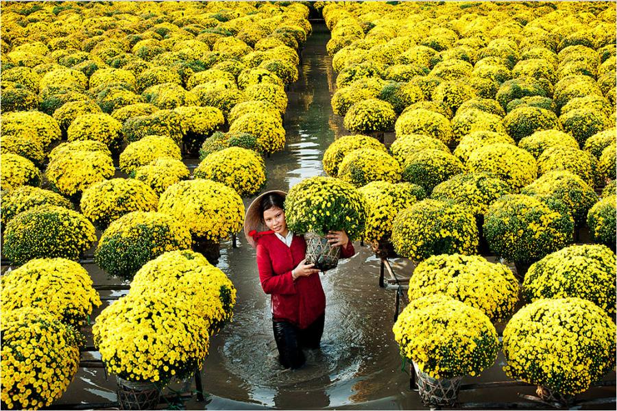 1 DAY - CAN THO - XEO QUYT - SA DEC. HIB1DXS2