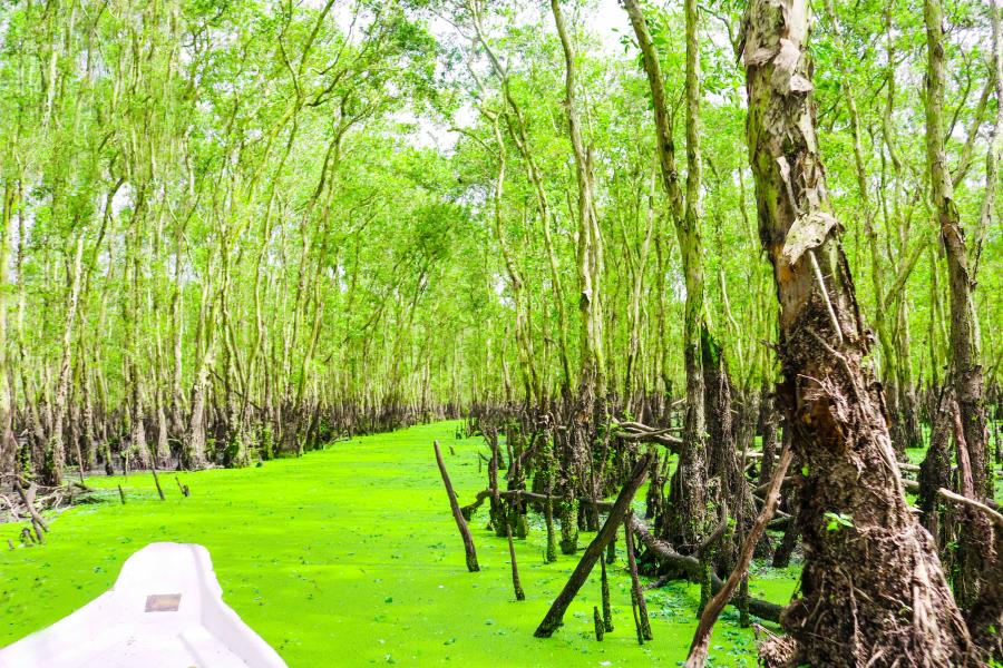 2 DAYS 1 NIGHT CAN THO CHAU DOC INSIGHTS - HIB2DCCD1