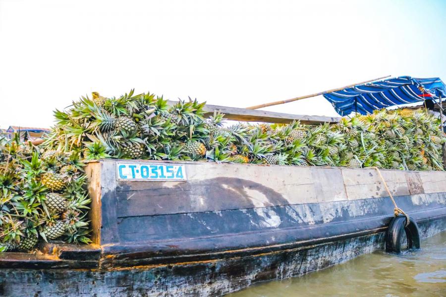 3 DAY 2 NIGHT FROM CAN THO TO PHNOM PENH - HIB3DCMPP1