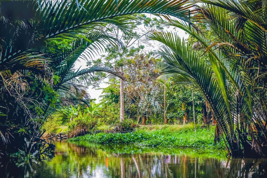 3 DAY 2 NIGHT GET CLOSE TO NATURE – HIB3DCMPP2