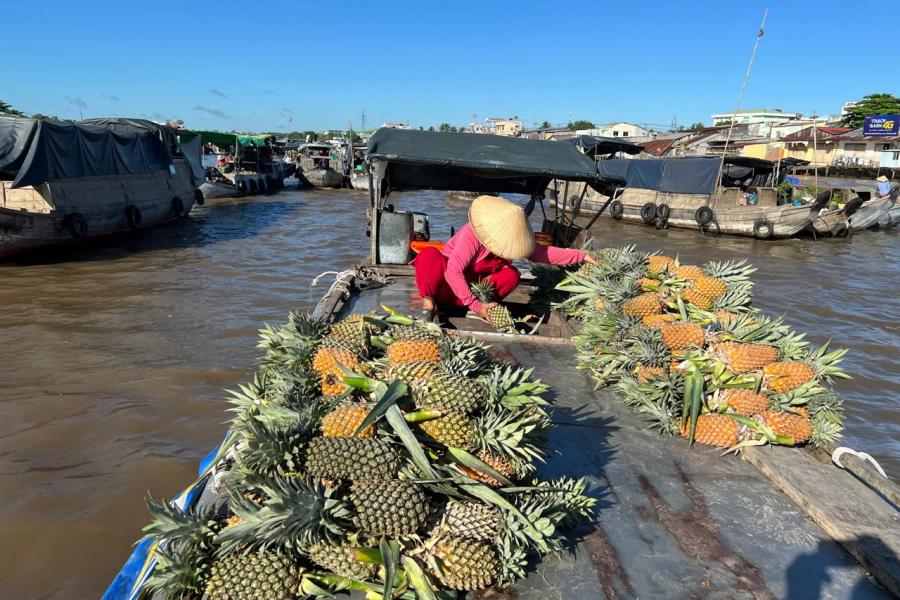 3-Day Adventure with Locals, Forests & Floating Life Cần Thơ
