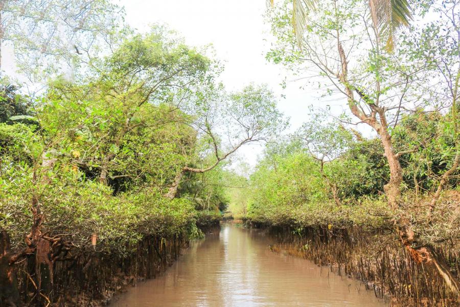 3D2N-SAI GON - MEKONG DELTA CULTURAL INSIGHTS.HIB3DSMK1