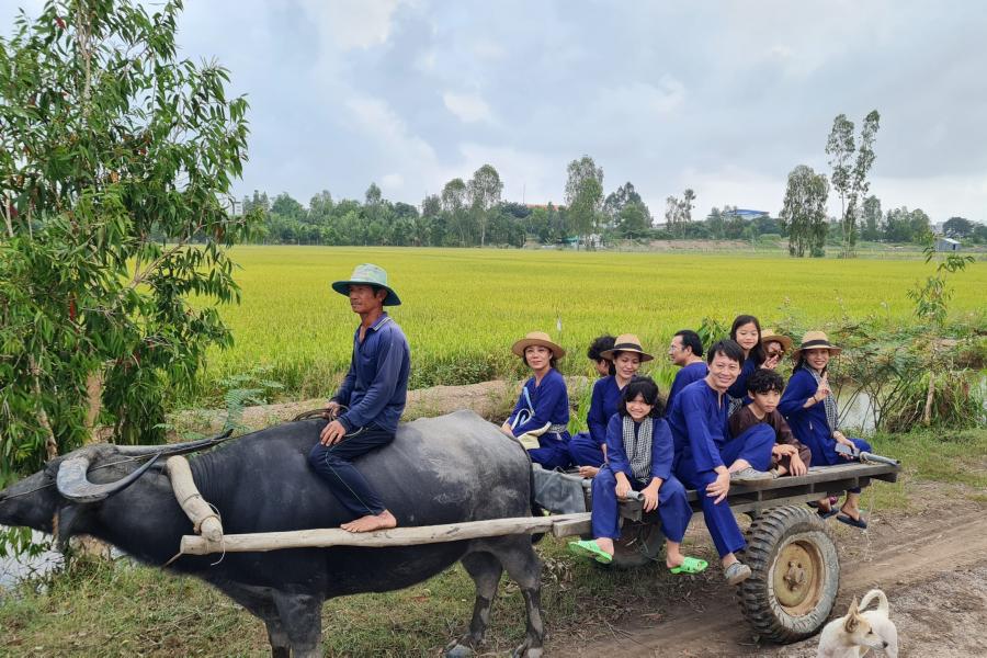 4-DAY DISCOVERING DELTA WONDERS: A MEKONG ADVENTURE UNVEILED – HIB4DSBCADS1