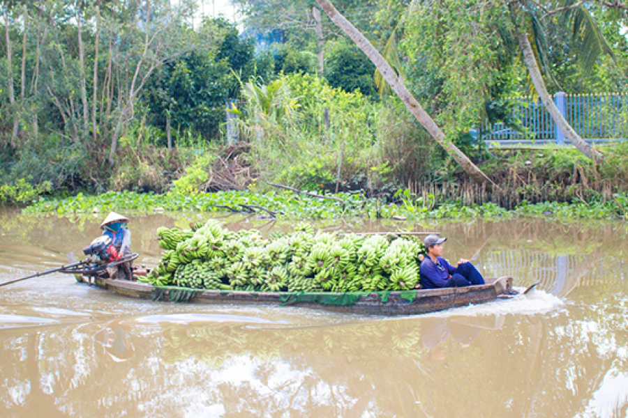 4 DAYS 3 NIGHTS - SAIGON - MEONG DELTA SOUTHERN CORRIDOR-HIB4DSMKSC1 Cần Thơ