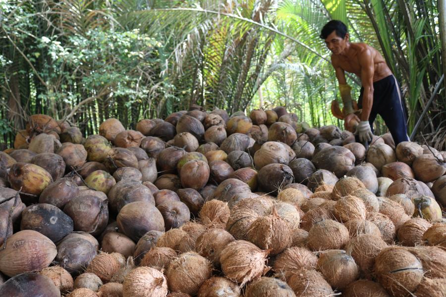 5 DAYS SOULTHERN VIETNAM DISCOVERY Cần Thơ